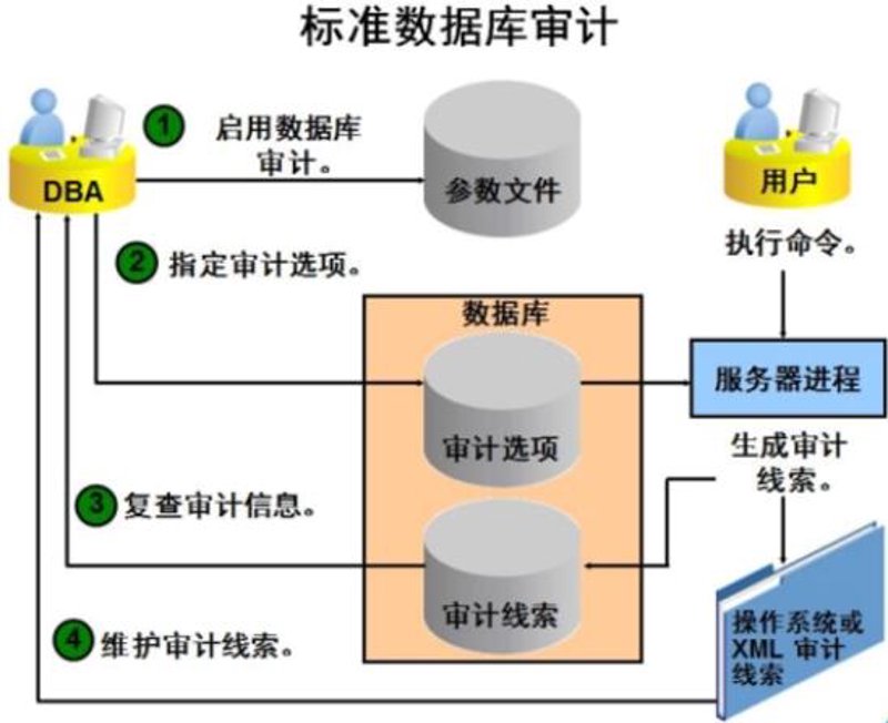 数据审计：企业信息安全的守护者